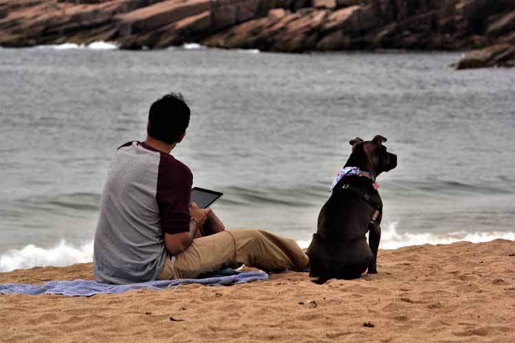 man and dog on beach